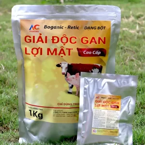 bot-giai-doc-gan_result222