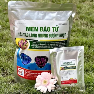 bot-men-bao-tu-duong-ruot-cho-gia-suc_result222