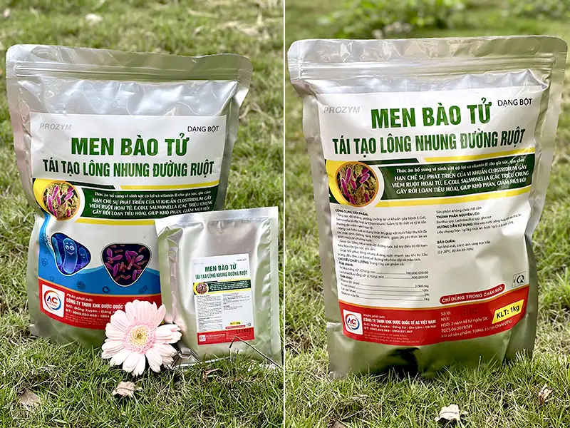 bot-men-bao-tu-tai-tao-long-nhung-duong-ruot_result222