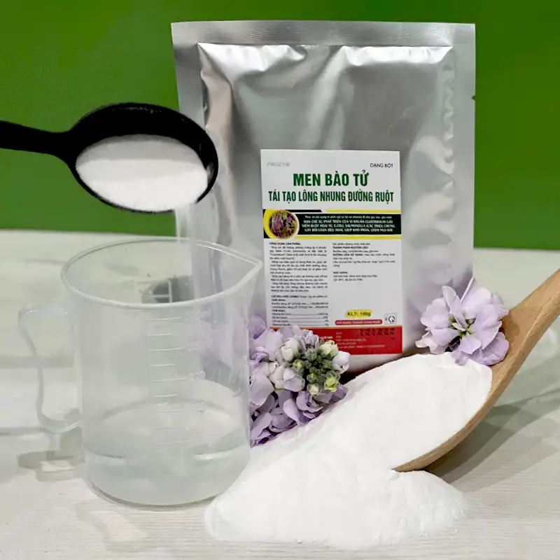 bot-men-bao-tu_result222