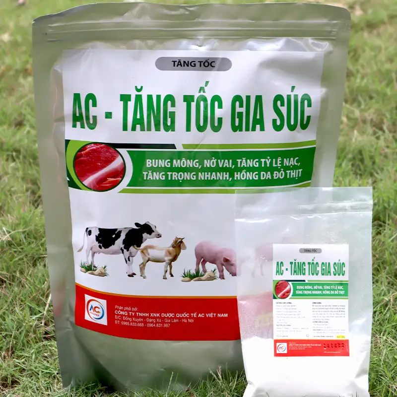 bot-pha-tang-toc-cho-lon_result222