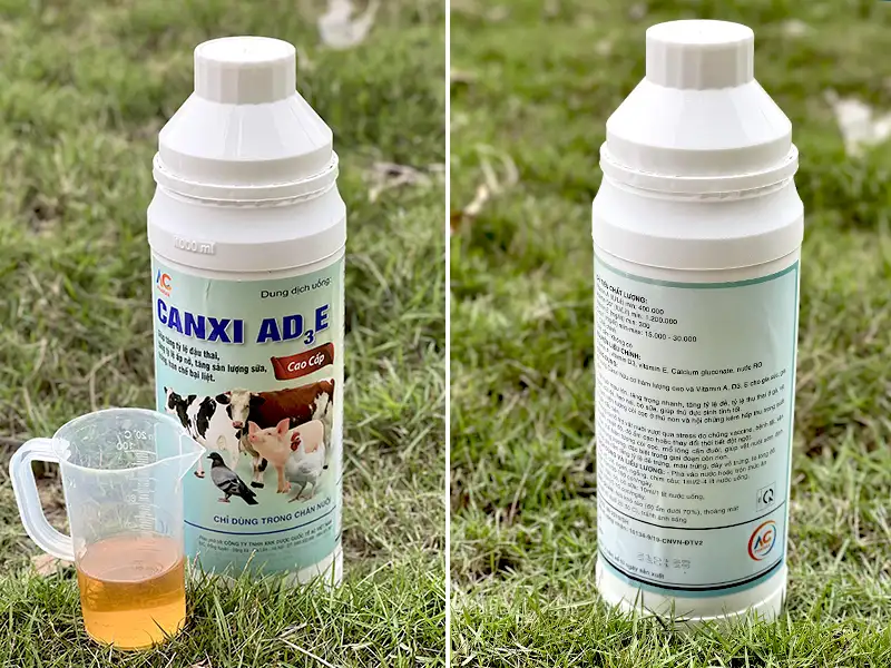 canxi-ad3e-dung-dich-uong-trong-chan-nuoi-ac_result222