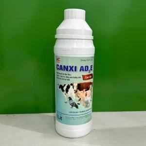 canxi-ad3e-dung-dich-uong-trong-chan-nuoi_result222