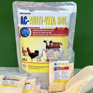 com-ac-muti-vita sol-cho-gia-suc_result222