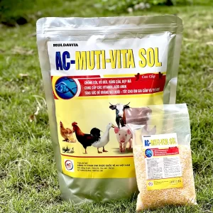 com-ac-muti-vita sol-cho-vat-nuoi_result222