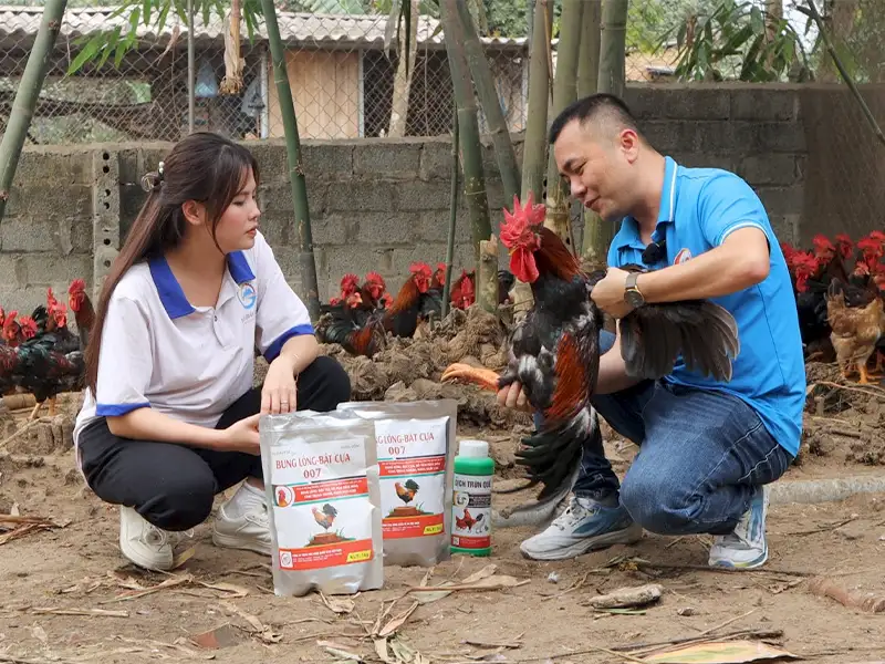 com-bung-long-bat-cua-cho-ga-chong-lon_result222