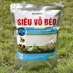 com-sieu-vo-beo-cho-lon_result222