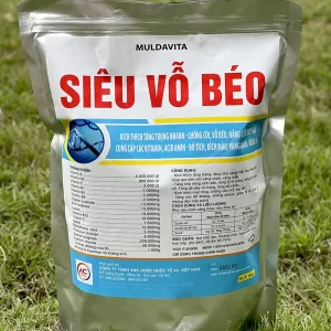 com-sieu-vo-beo-tang-trong-cho-lon_result222