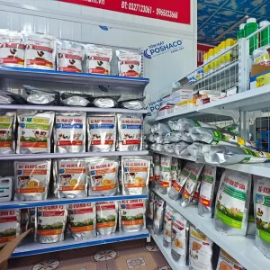 com-tang-trong-cho-ga-chong-lon_result222