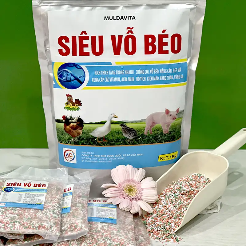 com-tang-trong-sieu-vo-beo_result222