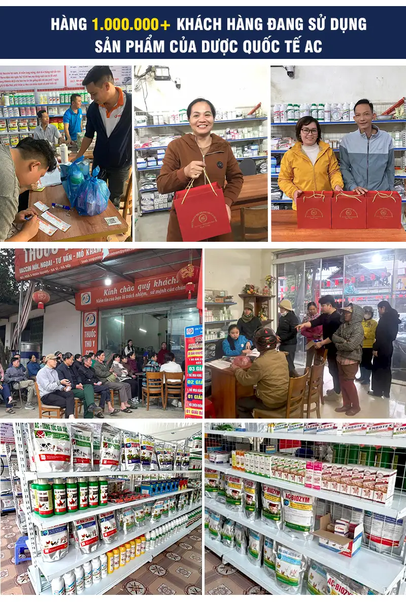 dia-chi-mua-bot-cam-1_result222