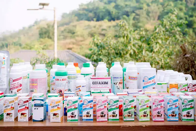 duoc-quoc-te-ac_result222