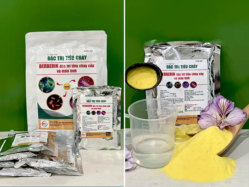 thuoc-berberin-dac-tri-tieu-chay_result222