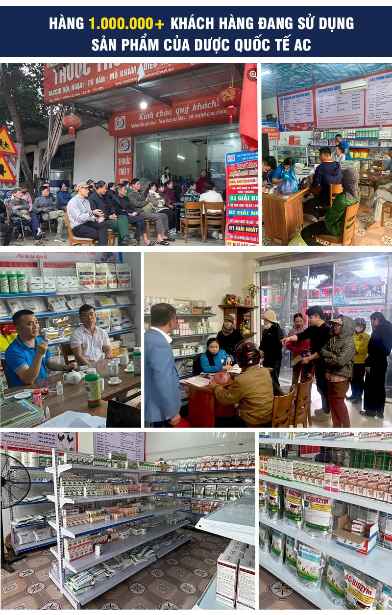 thuoc-thu-y-ac_result222