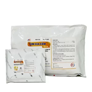 um-gia-cam_result222